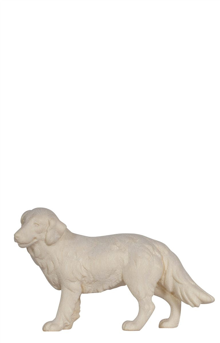 Kostner Nativity Shepherd Dog