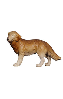 Kostner Krippe Hirtenhund