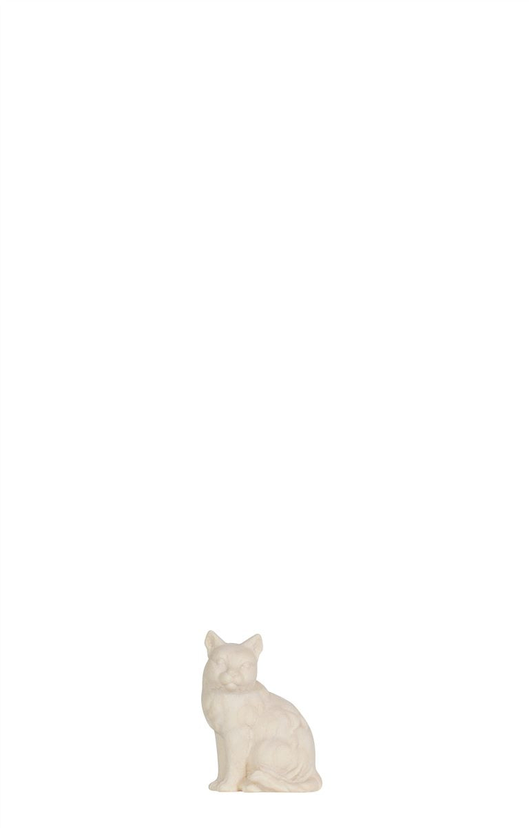 Kostner Nativity Cat