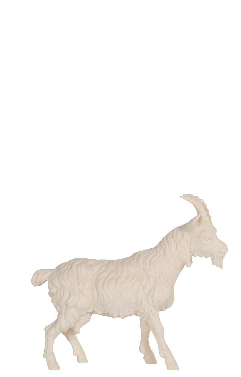 Kostner crib goat hair short