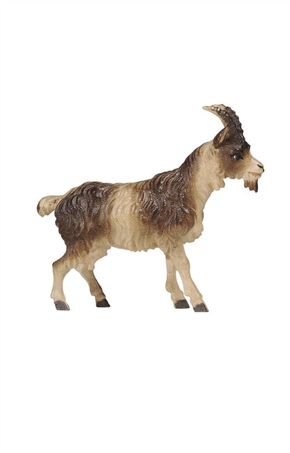 Kostner crib goat hair short