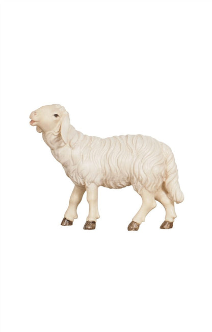 Kostner Nativity Sheep Eating Head Up