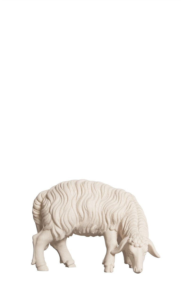 Kostner Nativity Sheep Grazing Looking Right