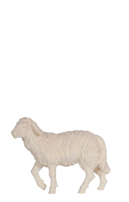 Kostner Nativity Sheep Standing Head Up