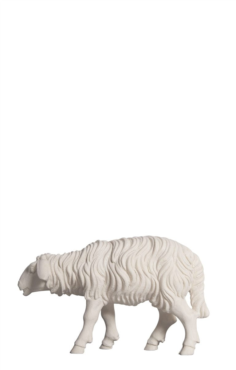 Kostner Nativity Sheep standing looking forward