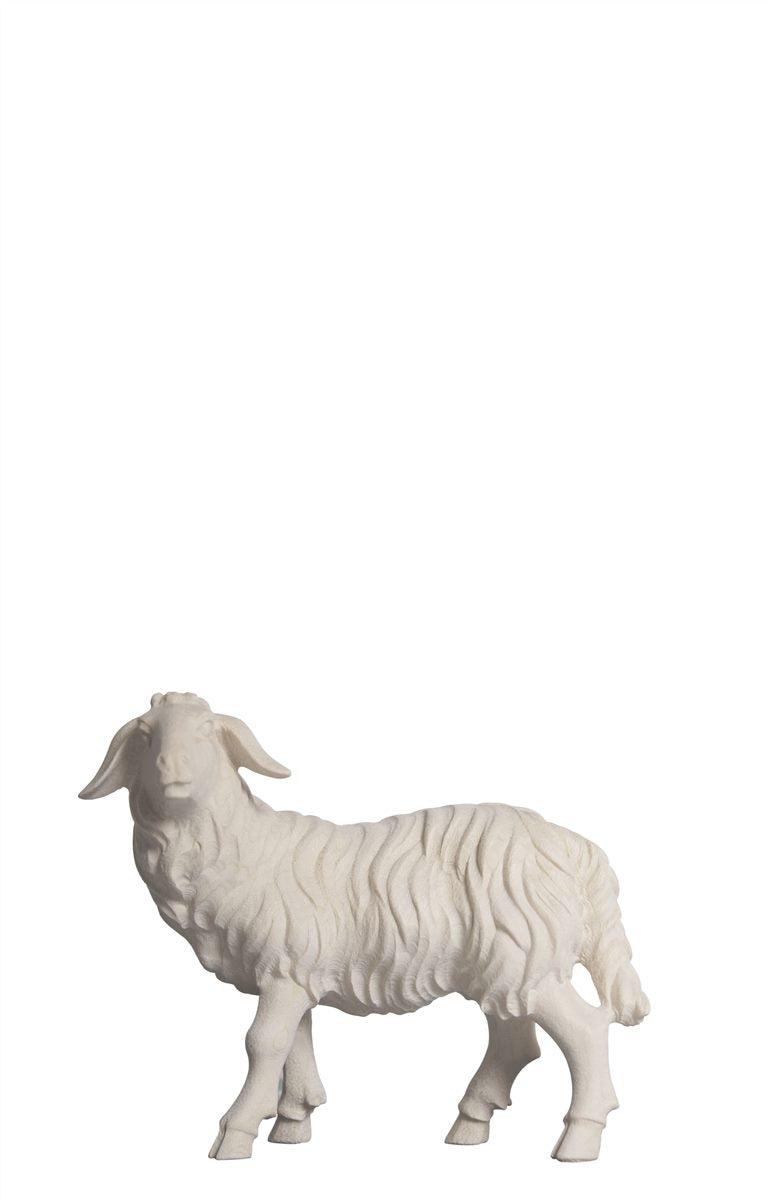 Kostner Nativity Sheep standing looking left