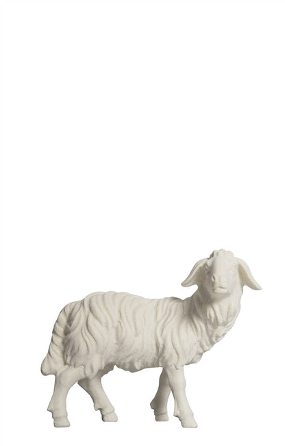 Kostner Nativity Sheep standing looking right