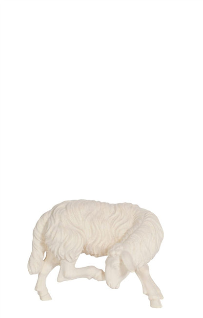 Kostner Nativity Sheep Scratching