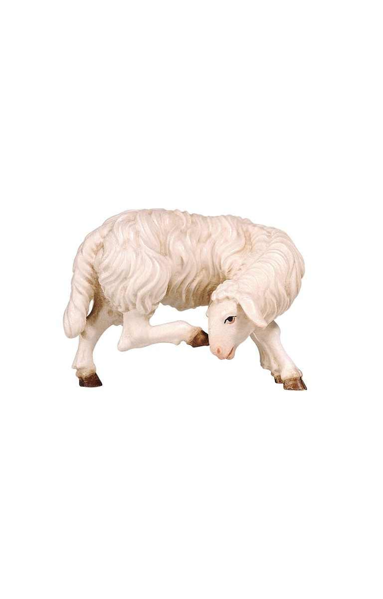 Kostner Krippe Schaf kratzend