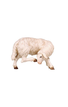 Kostner Krippe Schaf kratzend