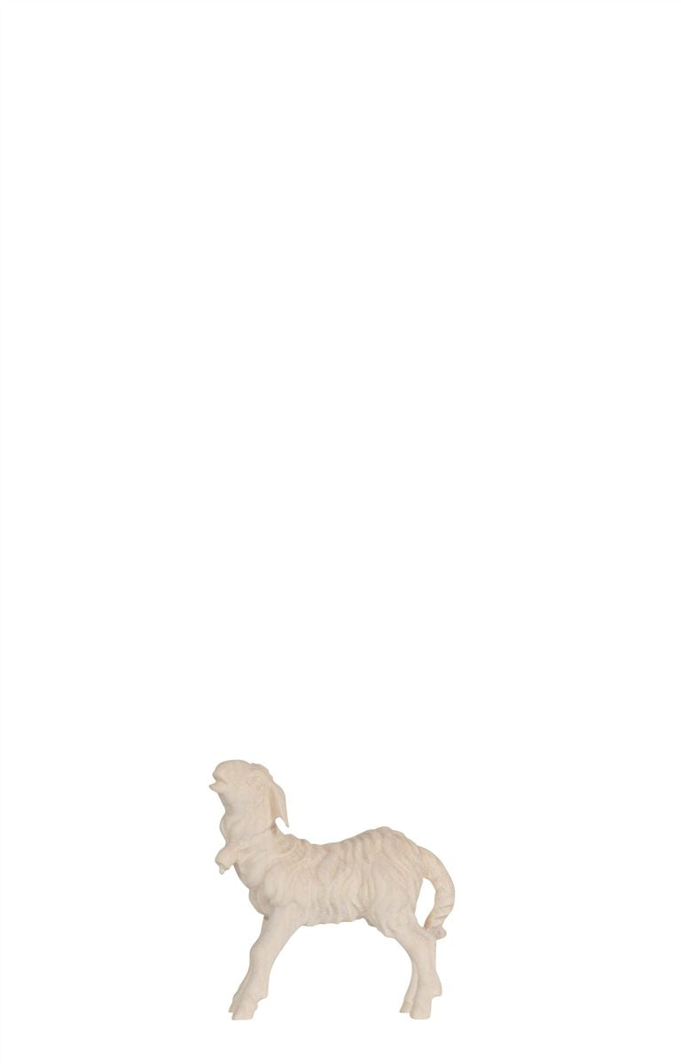 Kostner Nativity Lamb Standing