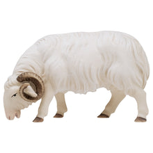 Komet Krippe Schafbock