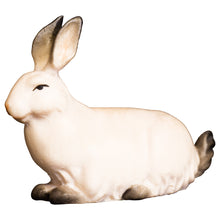 Komet Krippe Hase