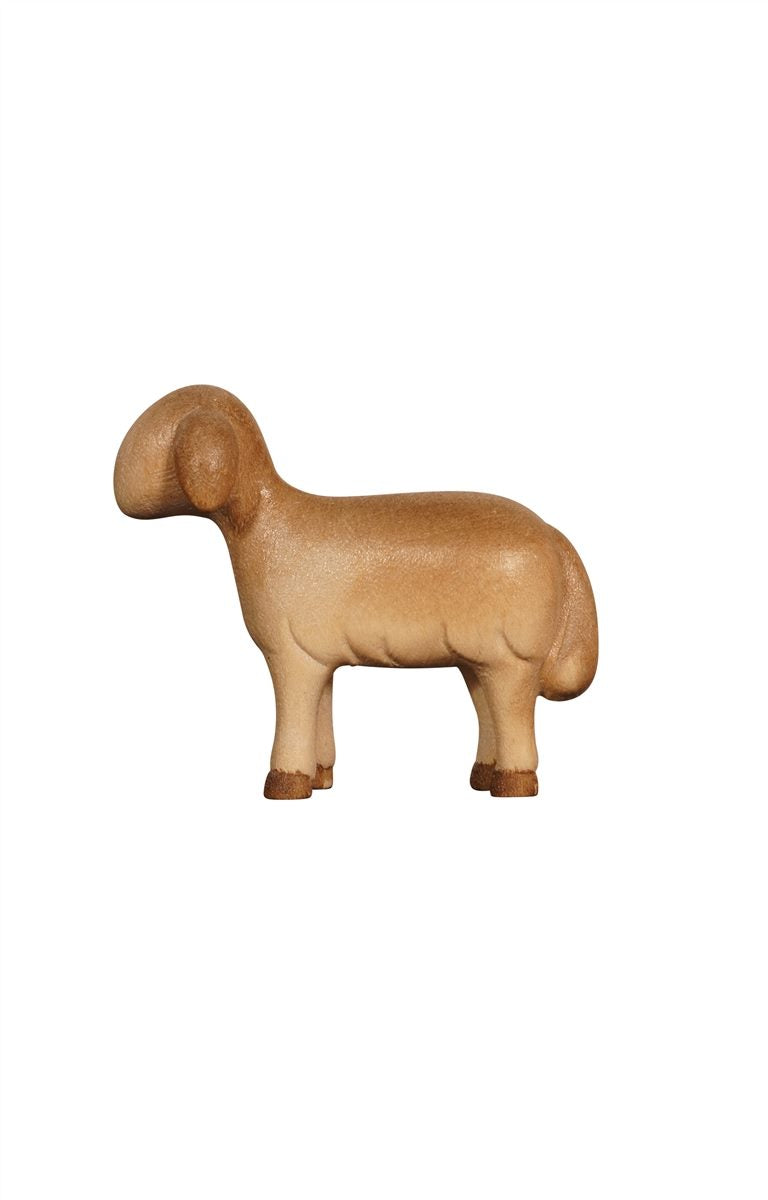 Leonardo Nativity Sheep standing looking forward