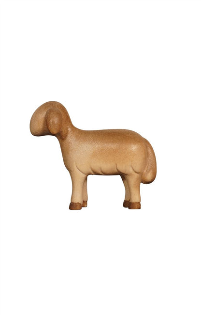 Leonardo Nativity Sheep standing looking forward